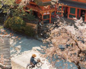 Comment se déplacer à Kyoto ?
